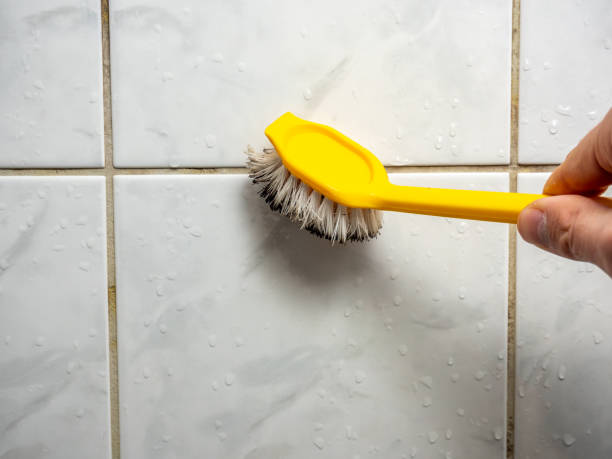 Best Office Mold Removal Services  in Fobes Hill, WA